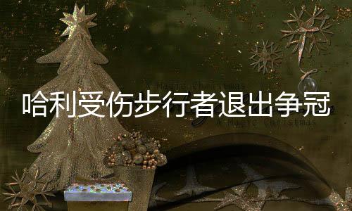 尼克斯的哈利机会来了
