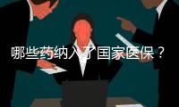 哪些药纳入了国家医保？用它随时查→