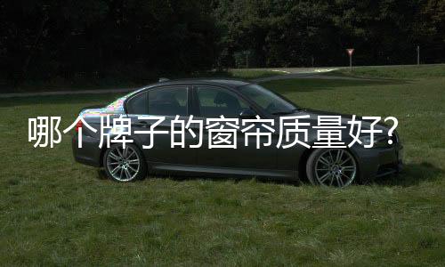 个牌国内提供市场保障