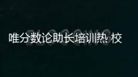 快排公司十年历程，霸屏兔 seo 的崛起与坚守