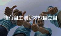 快排公司十年历程，霸屏兔 seo 的崛起与坚守