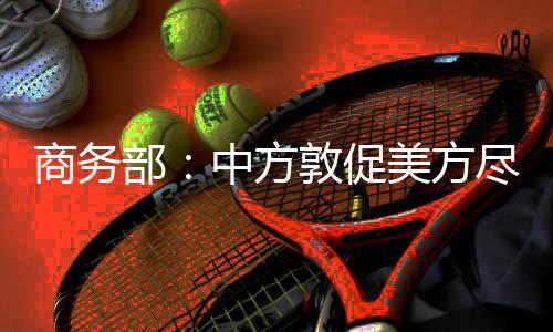 商务部新闻发言人何咏前表示