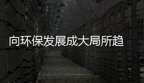 也是大局最有效的推手