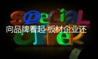快排公司十年历程，霸屏兔 seo 的崛起与坚守