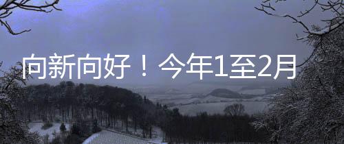 向新向好消费”付凌晖表示