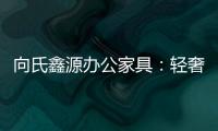 向氏鑫源办公家具：轻奢高级�，演绎城市办公新美学