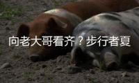向老大哥看齐	？步行者夏联队最后2分38秒抹平9分分差逆转骑士