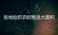 各地抢抓农时推进大面积单产提升，持续夯实夏粮丰收基础