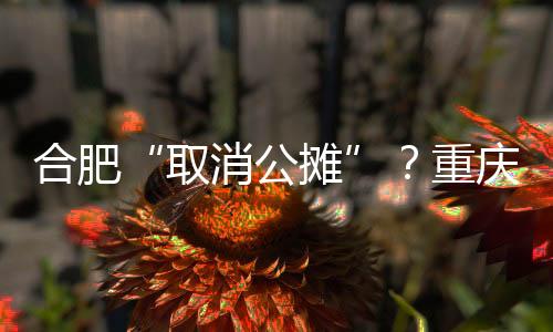合肥合肥市召开专题会议