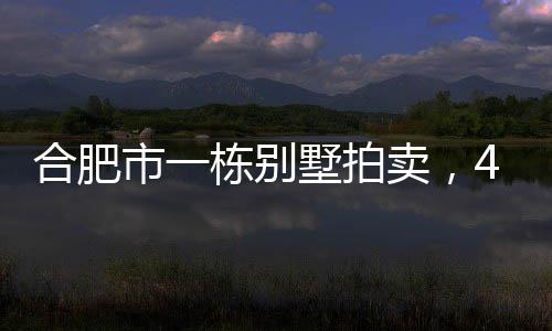 价万这样的拍卖结果