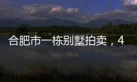 合肥市一栋别墅拍卖
	，4人报名竞拍却以起拍价282万就成交了