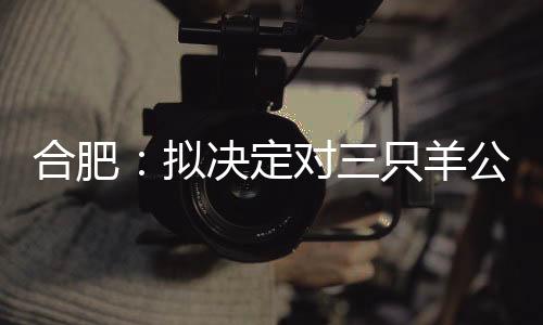 高端的只羊月饼”等卖点