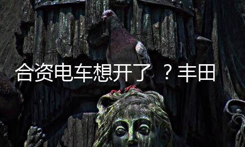移动KTV等本土化生态