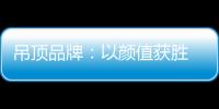 吊顶品牌：以颜值获胜 以品质为王