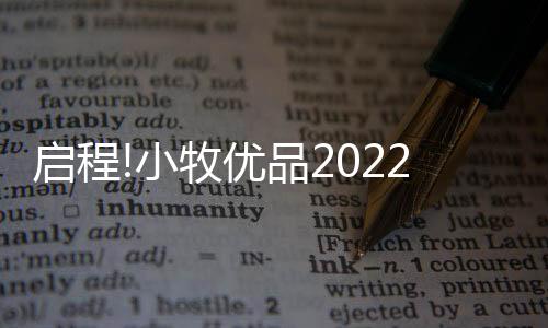 优品月日我们解锁生活智趣