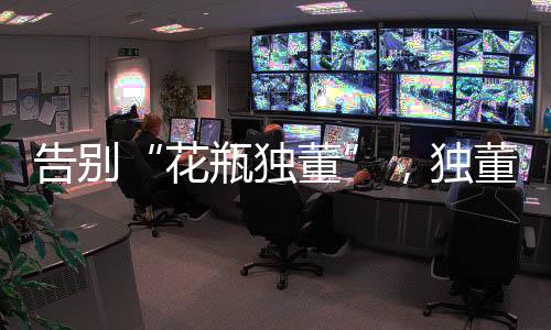 为财务造假添加了一道防火墙
