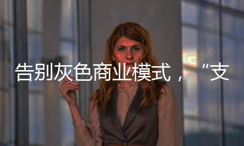 拉卡拉“支付+”收入占比