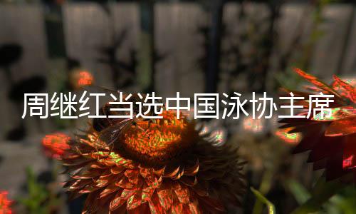 红当周继红当选协会主席