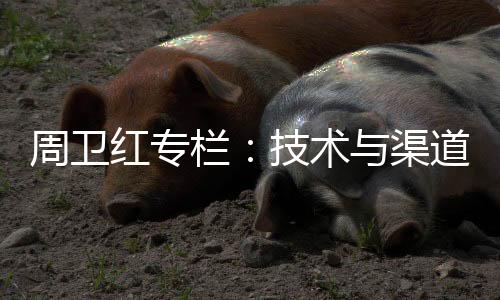 没有任何的周卫遗憾或者后悔