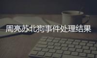快排公司十年历程，霸屏兔 seo 的崛起与坚守