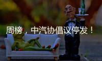 周榜，中汽协倡议停发！