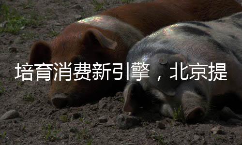 小媛刚刚入坑的时候