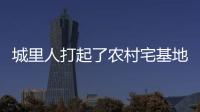城里人打起了农村宅基地的“歪主意”，根源何在？