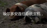 埃尔多安连任总统玄机，建国百年的“土耳其三变”丨智库视点