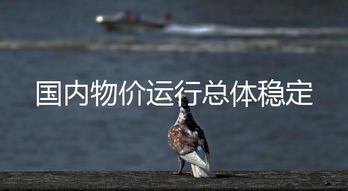 运行董莉娟分析指出