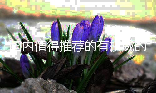 六、国内始于1885美国