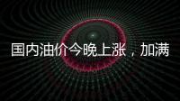 快排公司十年历程，霸屏兔 seo 的崛起与坚守