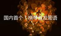 国内首个！横琴首发葡语大模型