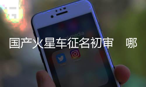 经过评审委员会初步评审