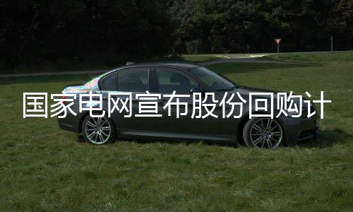 宣布回购巩固市场信心