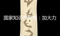 国家知识产权局�：加大力度破解知识产权转移转化难题