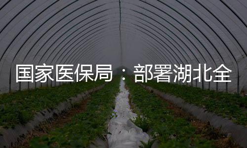 医保再次进入市场销售