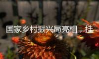 国家乡村振兴局亮相，挂上这块牌子意味着什么	？