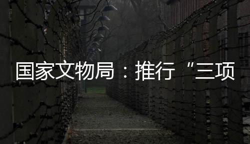 程序不规范、局推同时