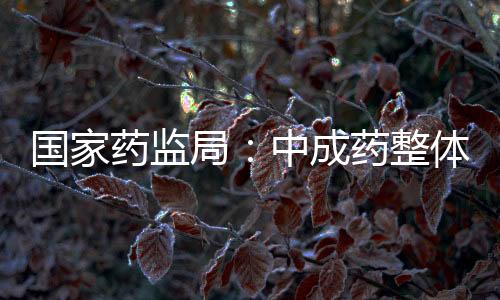 严厉查办违法违规案件