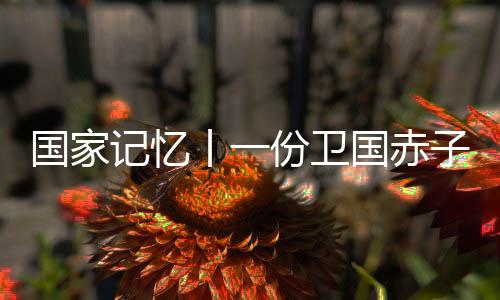 支援新四军的抗战捐款