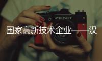 快排公司十年历程，霸屏兔 seo 的崛起与坚守