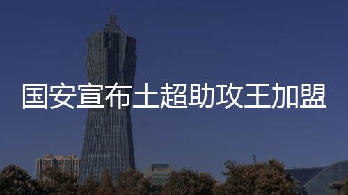2010-2011赛季土耳其超级杯亚军