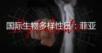 国际生物多样性日：菲亚特动力科技助力特提斯研究所地中海鲸目动物和海洋环境