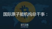 国际原子能机构总干事：支持伊美就核问题举行谈判