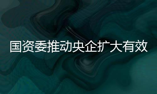 国资落实年度投资计划安排
