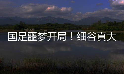 ”前国国足场场丢球