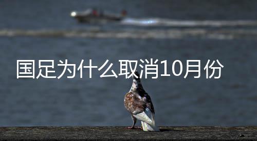 观看国青的月份热身赛