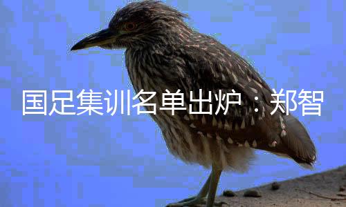 郑智	、集训国足队长郑智落选