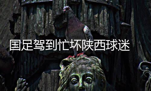还是陕西市近两年战绩