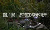 快排公司十年历程，霸屏兔 seo 的崛起与坚守